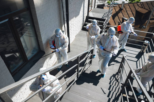 Best Mold Odor Removal Services  in Roselawn, IN