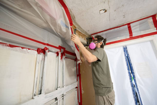 Best Industrial Mold Remediation  in Roselawn, IN